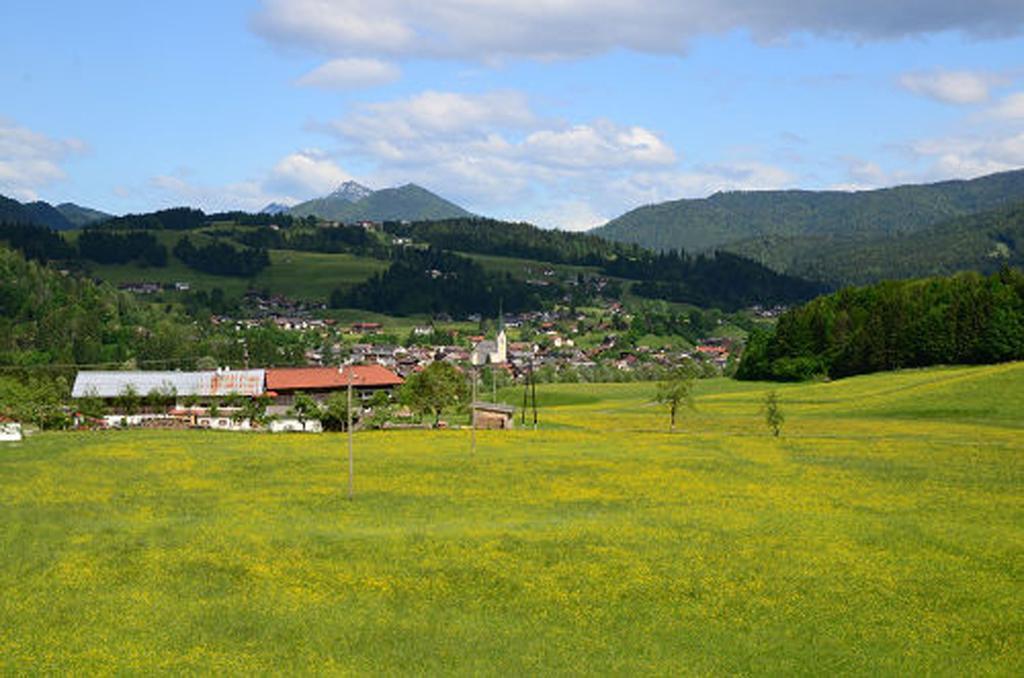 Gasthof Appartement'S Staffnerhof 코센 객실 사진
